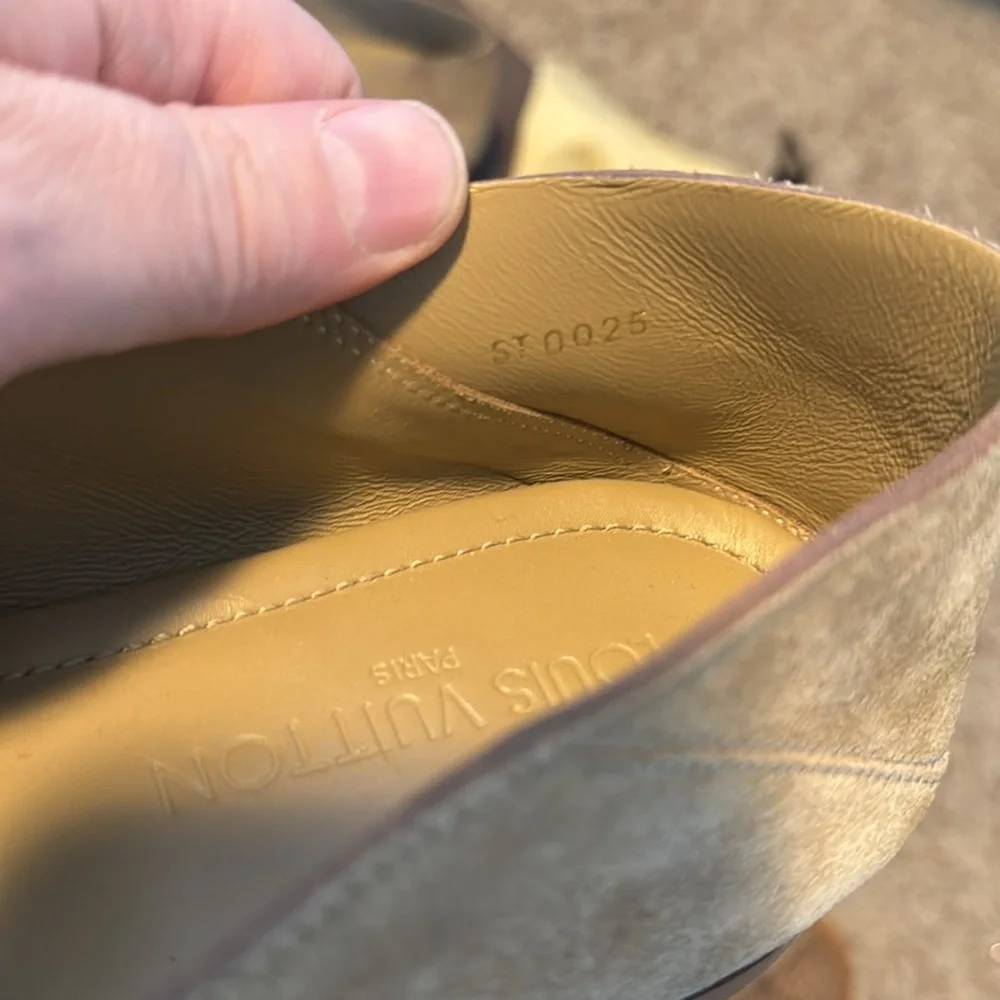 Louis Vuitton classic louis